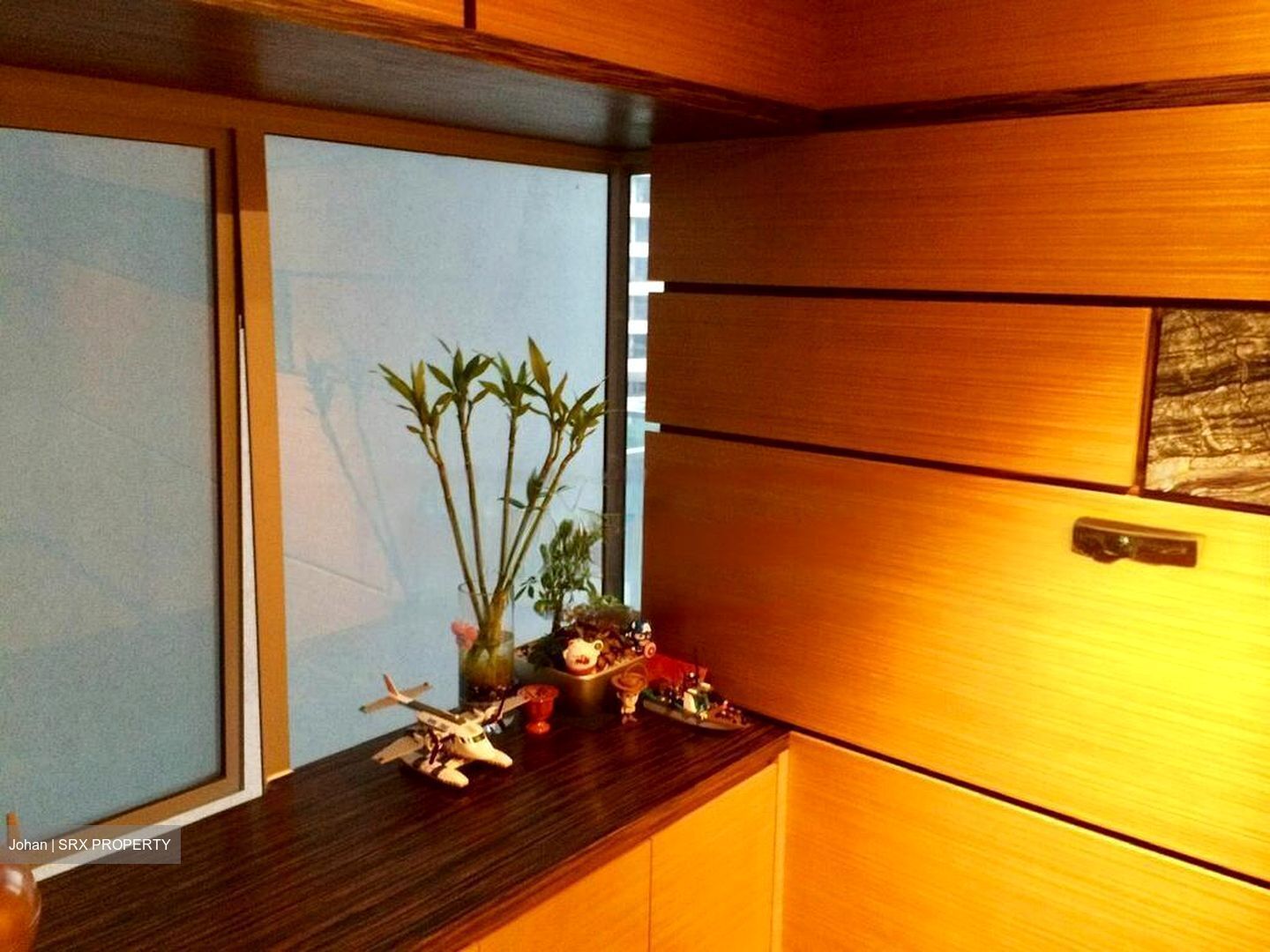 Residences @ Evelyn (D11), Condominium #567178101